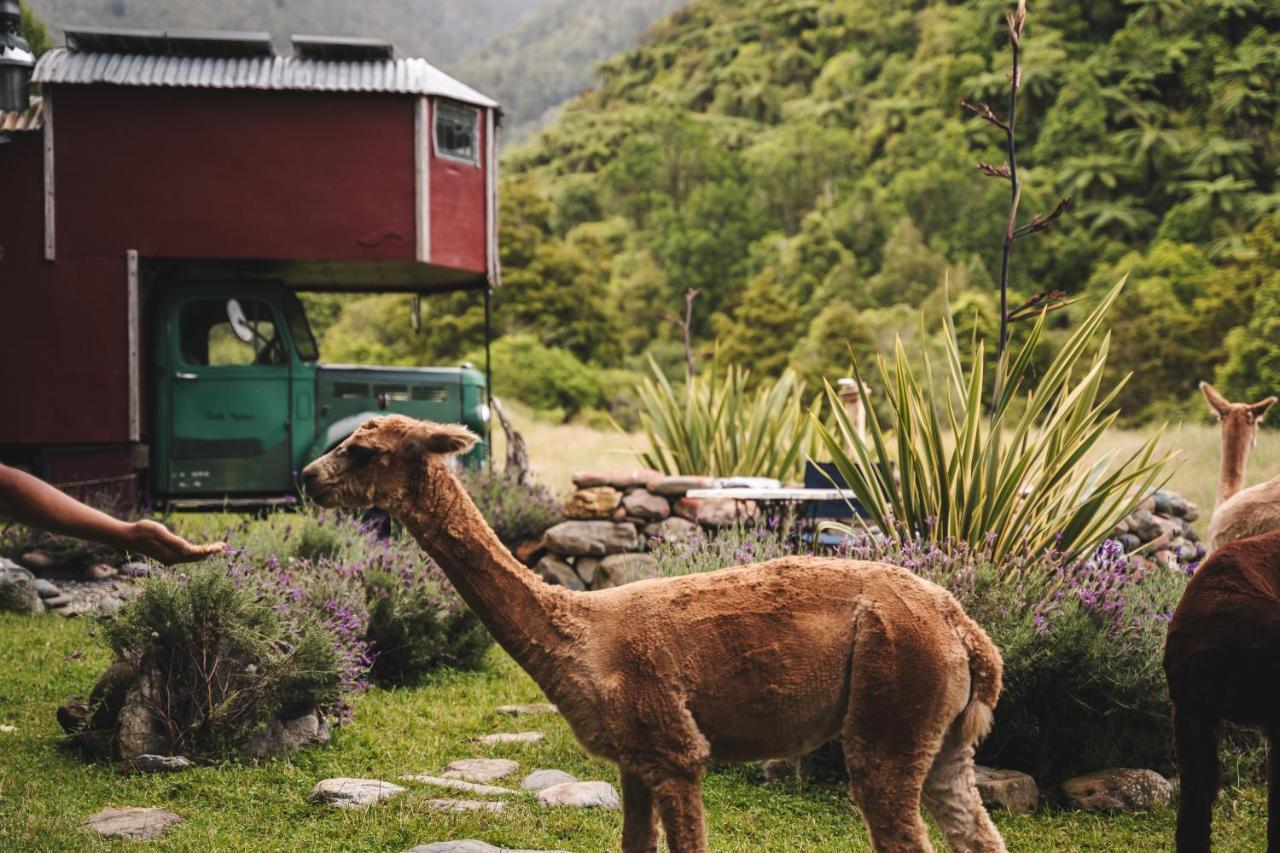 塔卡卡 Alpacas Off Grid - House Truck酒店 外观 照片